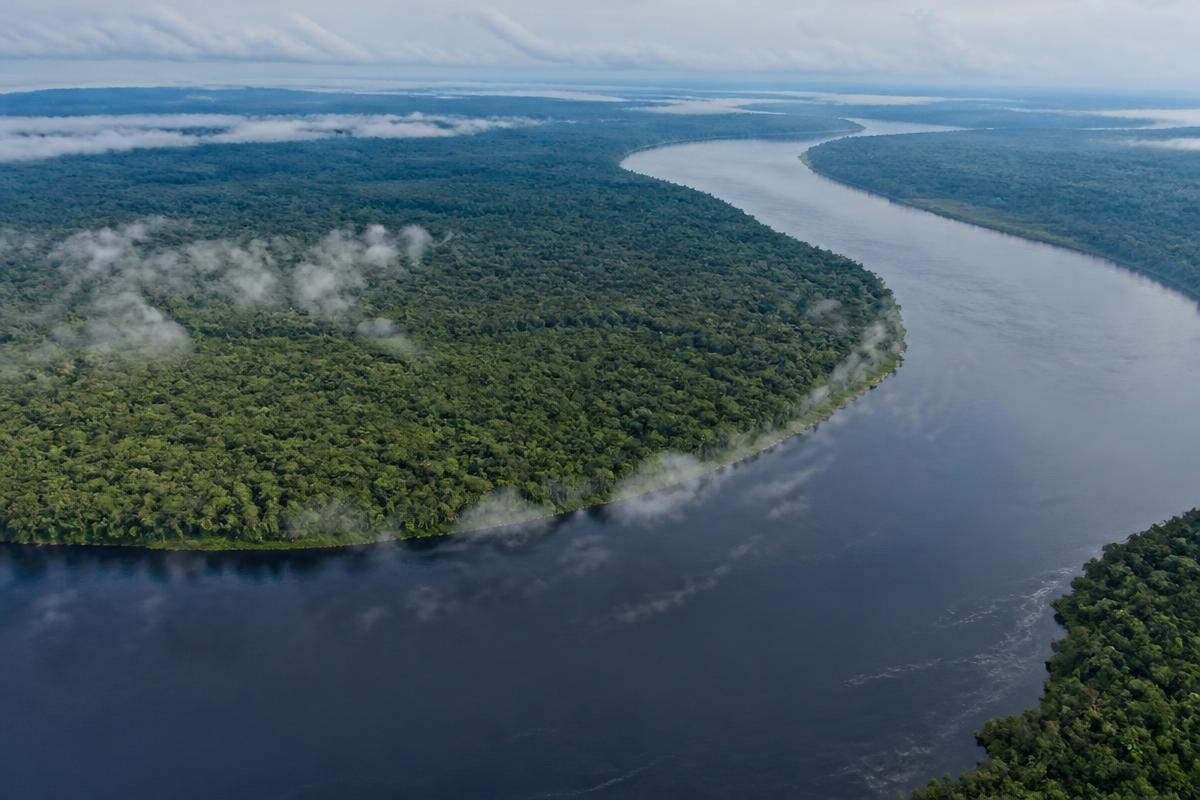 Vue aérienne du fleuve Congo traversant la forêt tropicale en RDC